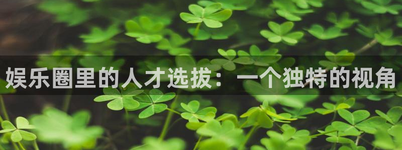 蓝图娱乐平台：娱乐圈里的人才选拔：一个独特的视角