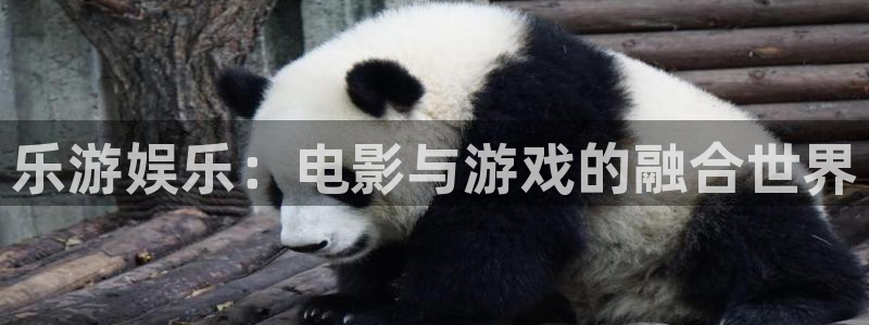 蓝图娱乐平台主管：乐游娱乐：电影与游戏的融合世界